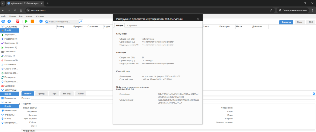 qbittorrent cert